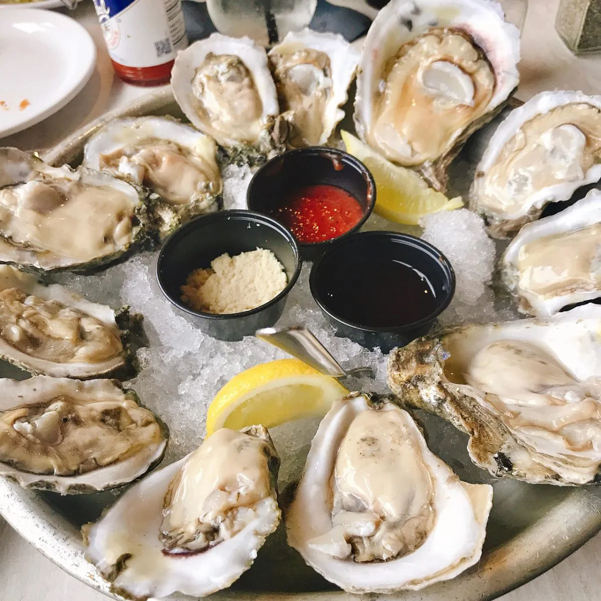 Fresh oysters on ice with lemon and cocktail sauce